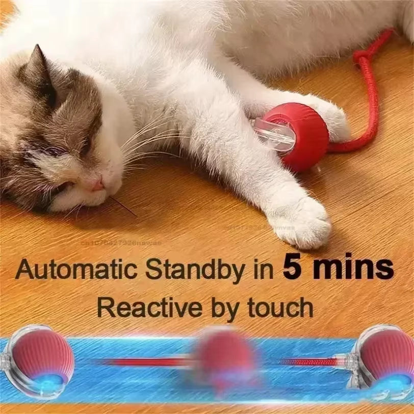 Interactive Rolling Cat Ball Dog Toy Rolling Ball for Indoor 360° Automatic Rolling Pet Ball Self Rollingball Pet Supplies