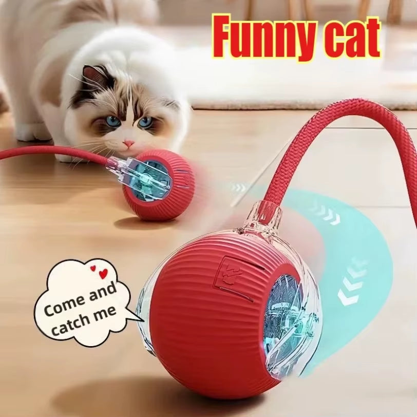Interactive Rolling Cat Ball Dog Toy Rolling Ball for Indoor 360° Automatic Rolling Pet Ball Self Rollingball Pet Supplies